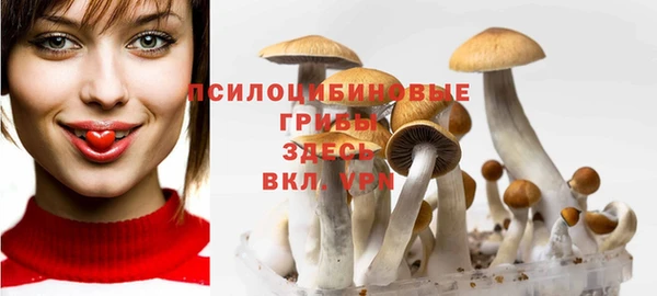 меф Алексин