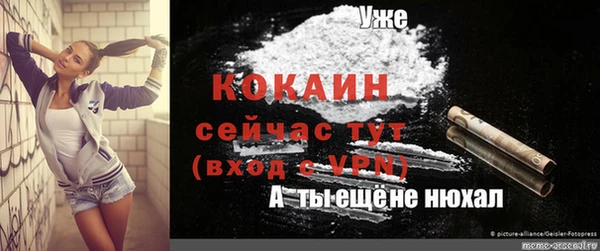 PSILOCYBIN Карпинск