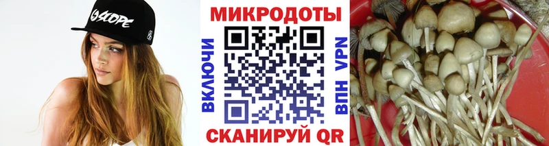 Псилоцибиновые грибы Psilocybine cubensis  Коркино 