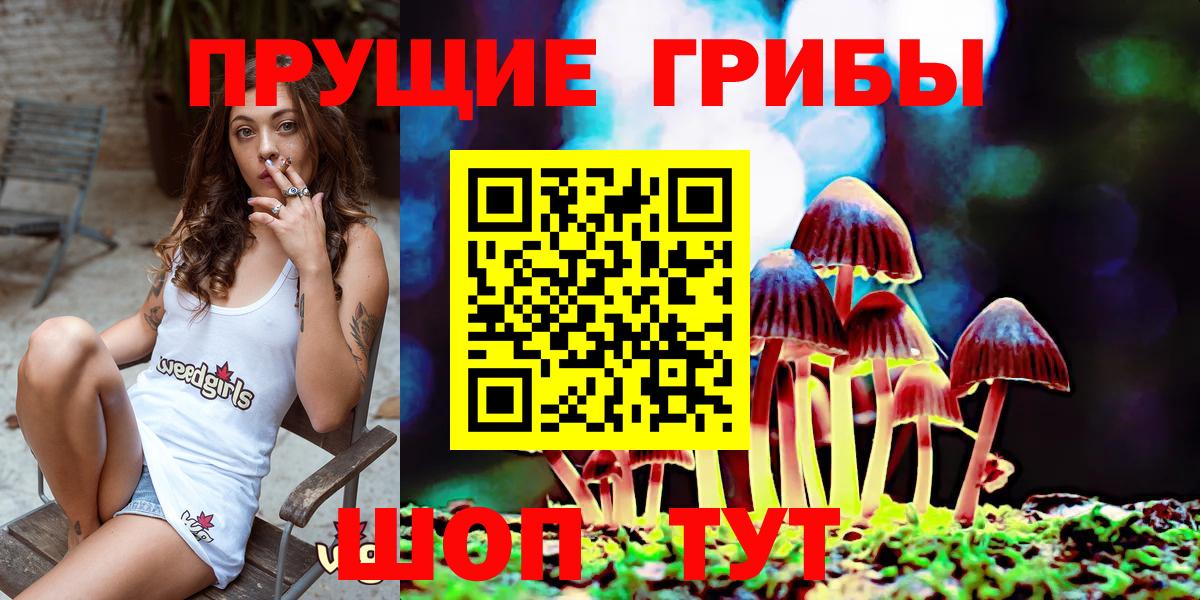 Галлюциногенные грибы мицелий Коркино