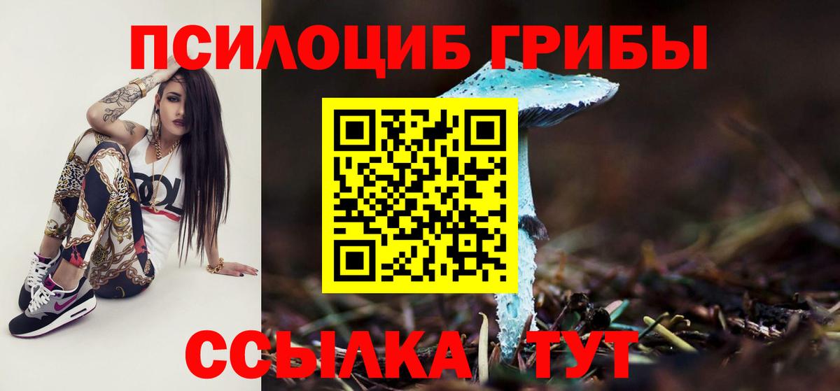 Коркино  купить наркоту  Вход с VPN  Галлюциногенные грибы прущие грибы 